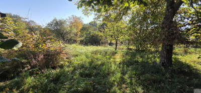Działka 853 m  Mikołów  Kamionka  Barbara - Mikołów  -
śląskie Zdjęcie nr 14