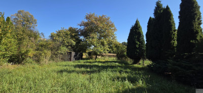 Działka 853 m  Mikołów  Kamionka  Barbara - Mikołów  -
śląskie Zdjęcie nr 4