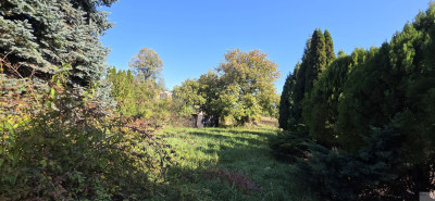 Działka 853 m  Mikołów  Kamionka  Barbara - Mikołów  -
śląskie Zdjęcie nr 5