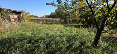 Działka 853 m  Mikołów  Kamionka  Barbara - Mikołów  -
śląskie Zdjęcie nr 6
