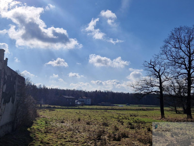 Działka pod lasem - Imielin   -
śląskie Zdjęcie nr 3