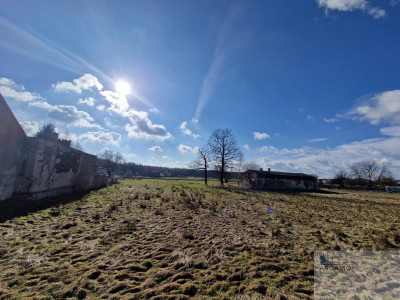 Działka pod lasem - Imielin   -
śląskie Zdjęcie nr 4