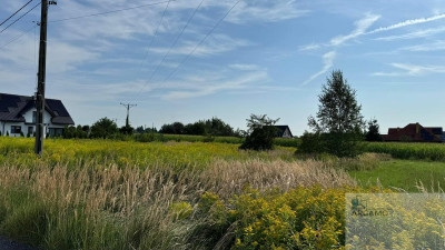 Mysłowice -to miejsce to inwestycja w przyszłość - Mysłowice  -
śląskie Zdjęcie nr 5