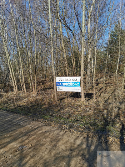 Wspaniałe miejsce na DOM lub inwestycję - Mysłów   -
śląskie Zdjęcie nr 2