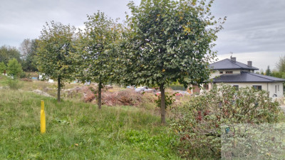 Działka budowlana w Bobrownikach - Bobrowniki   -
śląskie Zdjęcie nr 6