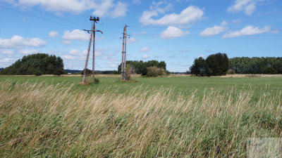 Działka budowlana w Redzie - Reda   -
pomorskie Zdjęcie nr 4