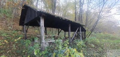 Malownicza działka budowlana MPZP Jura - Zdów   -
śląskie Zdjęcie nr 3