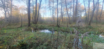 Malownicza działka budowlana MPZP Jura - Zdów   -
śląskie Zdjęcie nr 4