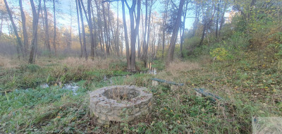 Malownicza działka budowlana MPZP Jura - Zdów   -
śląskie Zdjęcie nr 6