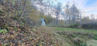Malownicza działka budowlana MPZP Jura - Zdów   -
śląskie Zdjęcie nr 7