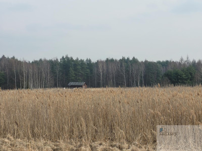 Działka budowlana - Ciągowice   -
śląskie Zdjęcie nr 4