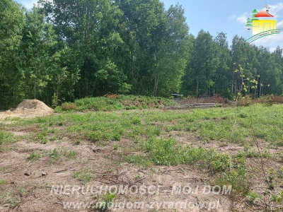 Polecamy działkę budowlaną w Korytowie - Korytów   -
Mazowieckie Zdjęcie nr 4