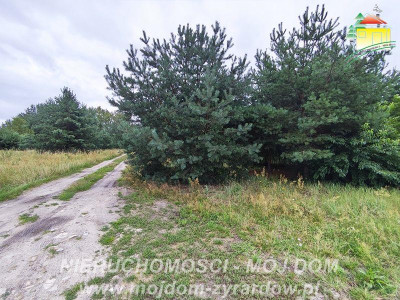 Działka budowlana w Henryszewie - Henryszew  -
Mazowieckie Zdjęcie nr 4