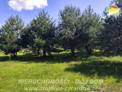 Działka rolno-budowlana - Stary Karolinów  -
Mazowieckie Zdjęcie nr 9