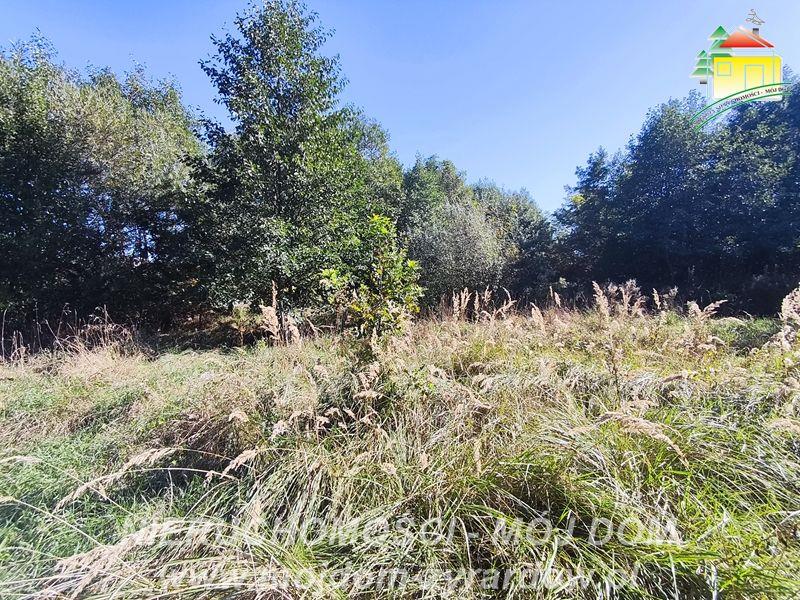 Duża działka budowlana- idealna dla inwestora - Korytów A  -
Mazowieckie Zdjęcie nr 1