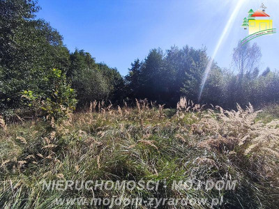 Duża działka budowlana- idealna dla inwestora - Korytów A  -
Mazowieckie Zdjęcie nr 2