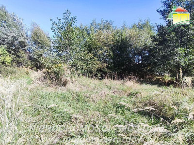 Duża działka budowlana- idealna dla inwestora - Korytów A  -
Mazowieckie Zdjęcie nr 3