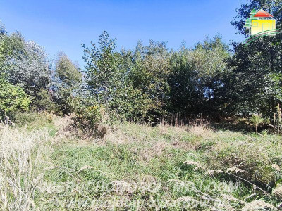 Duża działka budowlana- idealna dla inwestora - Korytów A  -
Mazowieckie Zdjęcie nr 6