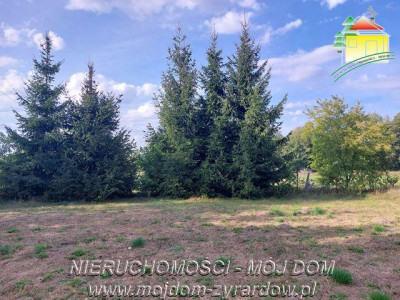 Polecamy  - Tomaszew  - Mazowieckie