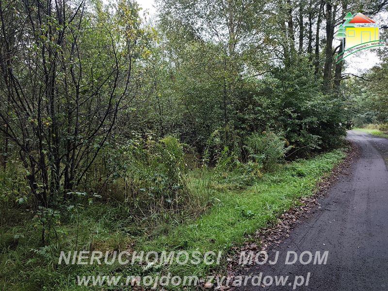 Działka z warunkami zabudowy w leśnej okolicy - Franciszków  -
Mazowieckie Zdjęcie nr 1