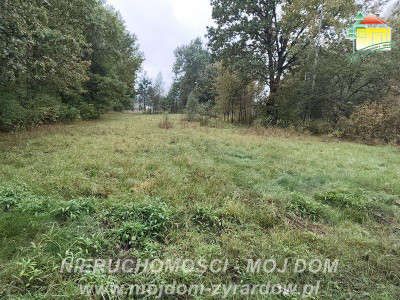 Działka z warunkami zabudowy w leśnej okolicy - Franciszków  -
Mazowieckie Zdjęcie nr 5