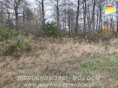 Działka budowlana w Radziwiłłowie - Radziwiłłów  - Mazowieckie