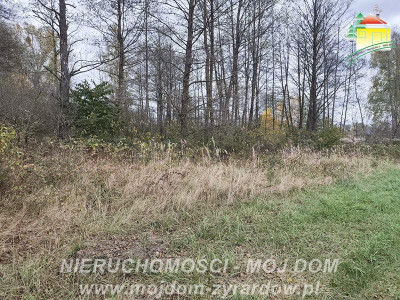 Działka budowlana w Radziwiłłowie - Radziwiłłów  -
Mazowieckie Zdjęcie nr 2