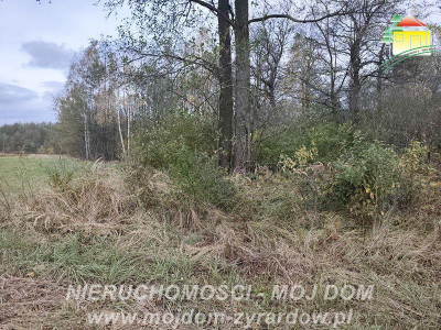 Działka budowlana w Radziwiłłowie - Radziwiłłów  -
Mazowieckie Zdjęcie nr 4
