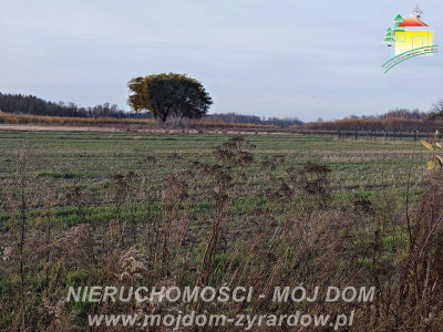 Kilka ładnych działek budowlanych w Korytowie - Korytów  -
Mazowieckie Zdjęcie nr 3