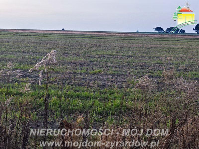 Kilka ładnych działek budowlanych w Korytowie - Korytów  -
Mazowieckie Zdjęcie nr 7