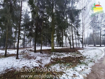 Działka budowlana - Kuranów  -
Mazowieckie Zdjęcie nr 2