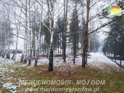 Działka budowlana - Kuranów  -
Mazowieckie Zdjęcie nr 5