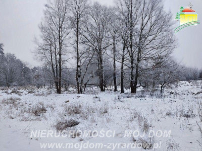 Ładna działka budowlana możliwy podział - Żyrardów  -
Mazowieckie Zdjęcie nr 2
