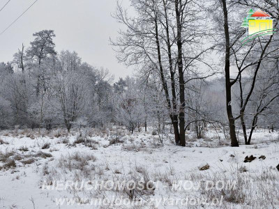 Ładna działka budowlana możliwy podział - Żyrardów  -
Mazowieckie Zdjęcie nr 4