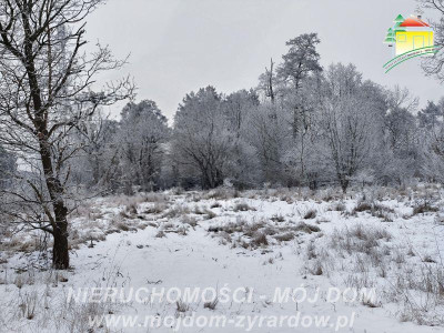 Nieduża działka budowlana w spokojnej lokalizacji - Żyrardów  -
Mazowieckie Zdjęcie nr 6