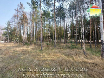 Śliczna działka budowlana w Walerianach - Waleriany  -
Mazowieckie Zdjęcie nr 5