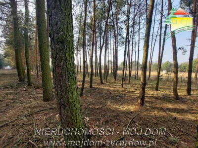 Śliczna działka budowlana w Walerianach - Waleriany  -
Mazowieckie Zdjęcie nr 6