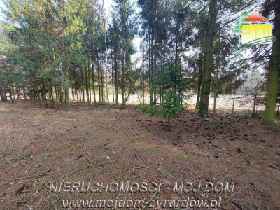 Śliczna działka budowlana w Walerianach - Waleriany  -
Mazowieckie Zdjęcie nr 7