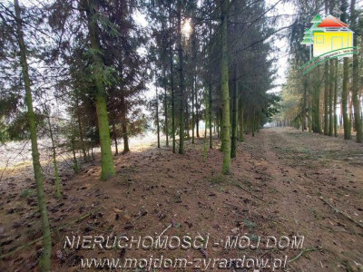 Śliczna działka budowlana w Walerianach - Waleriany  -
Mazowieckie Zdjęcie nr 8