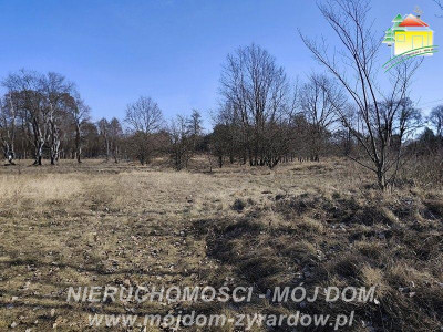 Duża działka budowlana blisko Osiedla Żeromskiego - Działki  - Mazowieckie