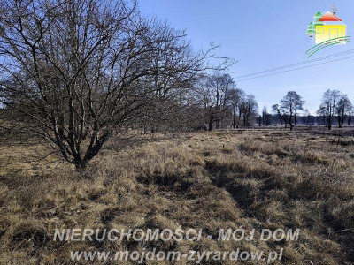 Duża działka budowlana blisko Osiedla Żeromskiego - Działki  -
Mazowieckie Zdjęcie nr 2