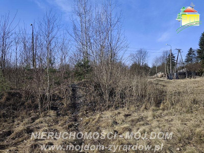 Duża działka budowlana blisko Osiedla Żeromskiego - Działki  -
Mazowieckie Zdjęcie nr 3