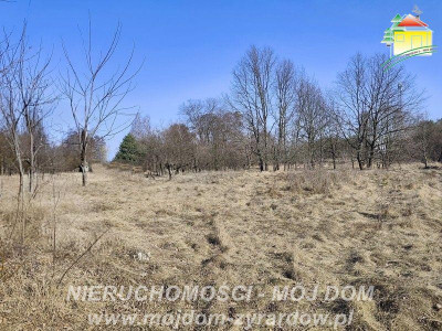 Duża działka budowlana blisko Osiedla Żeromskiego - Działki  -
Mazowieckie Zdjęcie nr 6