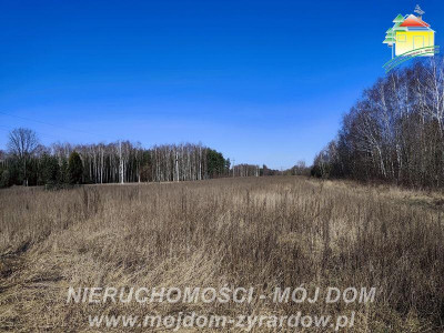 Ładna duża działa Długokąty - Długokąty  - Mazowieckie