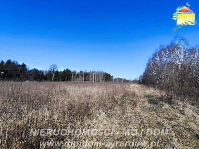 Ładna duża działa Długokąty - Długokąty  -
Mazowieckie Zdjęcie nr 3