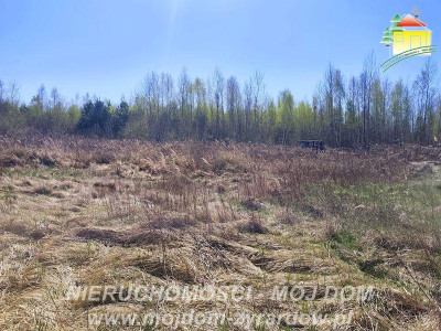 Działka budowlana z ważnymi warunkami zabudowy Antoniew - Antoniew  -
Mazowieckie Zdjęcie nr 10