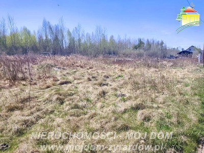 Działka budowlana z ważnymi warunkami zabudowy Antoniew - Antoniew  -
Mazowieckie Zdjęcie nr 11