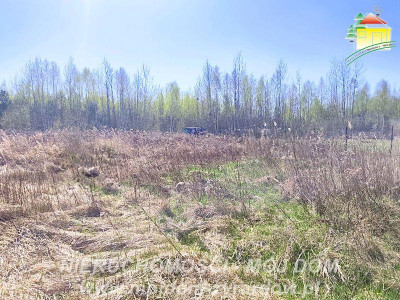 Działka budowlana z ważnymi warunkami zabudowy Antoniew - Antoniew  -
Mazowieckie Zdjęcie nr 2