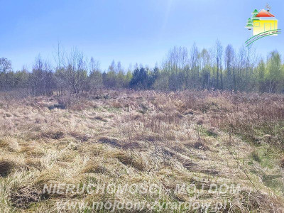 Działka budowlana z ważnymi warunkami zabudowy Antoniew - Antoniew  -
Mazowieckie Zdjęcie nr 4