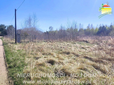 Działka budowlana z ważnymi warunkami zabudowy Antoniew - Antoniew  -
Mazowieckie Zdjęcie nr 5